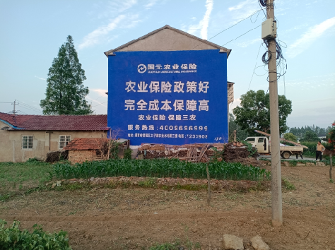 凤县墙体广告的优劣势你知道吗？